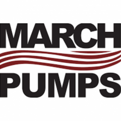Collection image for: March Pumps