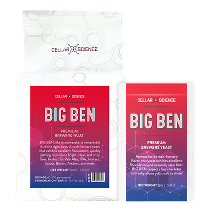 Levadura CellarScience® Big Ben Dry Yeast | English Ale