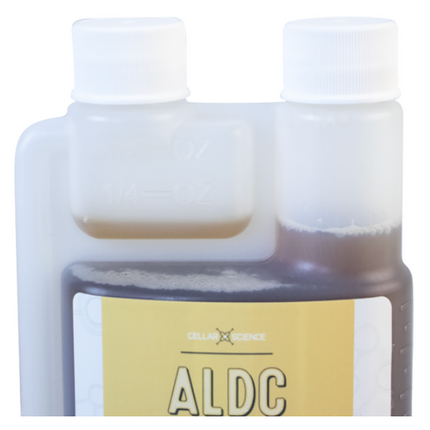 CELLARSCIENCE® ALDC - ENZIMA REDUCTORA DE DIACETIL