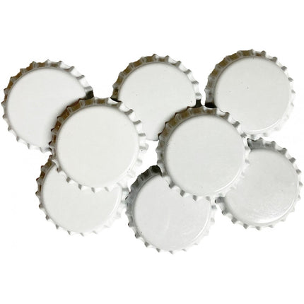 CORCHOLATA LISA BLANCA ABSORBENTE DE OXÍGENO BOLSA 100