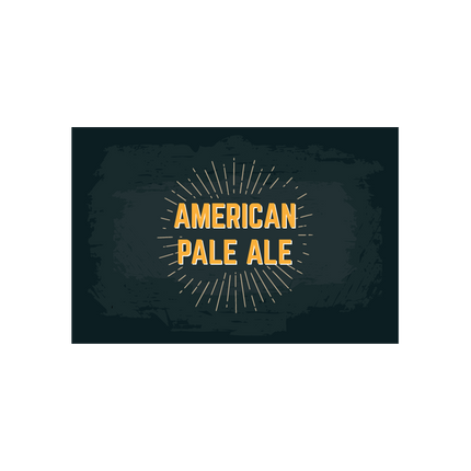 KIT AMERICAN PALE ALE