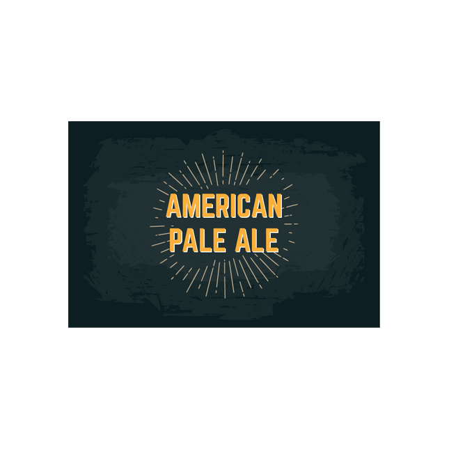 KIT AMERICAN PALE ALE