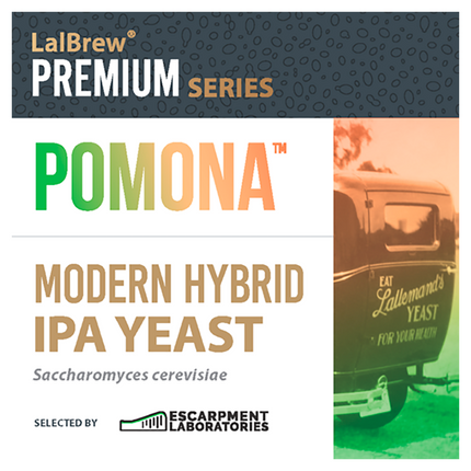 LEVADURA POMONA™ MODERN HYBRID IPA YEAST