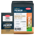 500 g (Ladrillo)