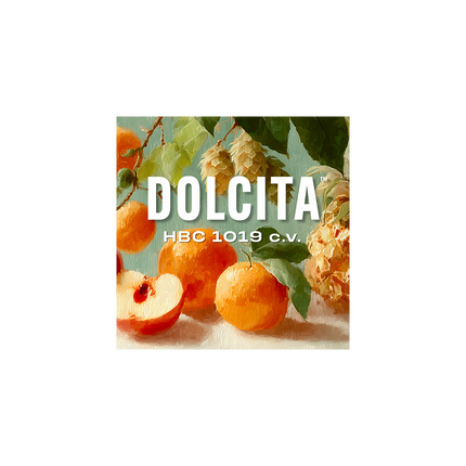 LÚPULO DOLCITA HBC 1019cv (2024) 11.3% A.A.