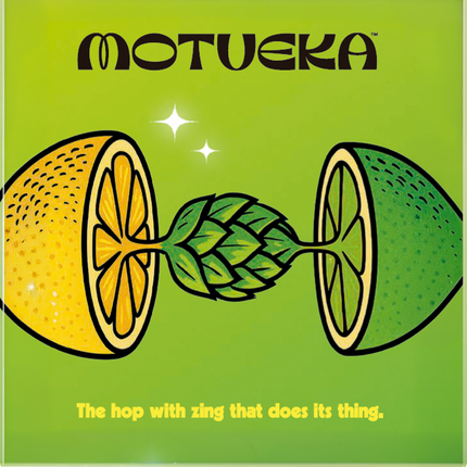 LÚPULO MOTUEKA (2025) 8.6% A.A. BOLSA 5 kg (11 lb)