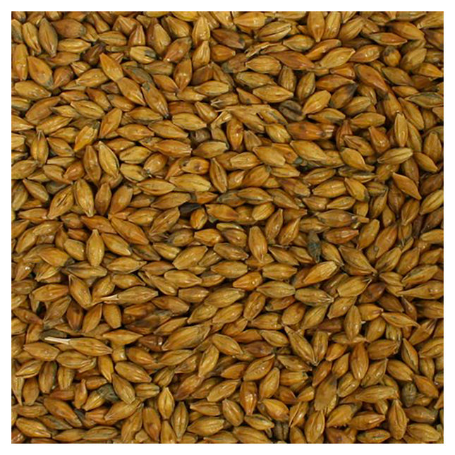 MALTA AMBER SIMPSONS