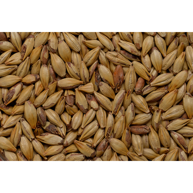 MALTA CARA AROMA CASTLE MALTING (CARAMEL 40°L)