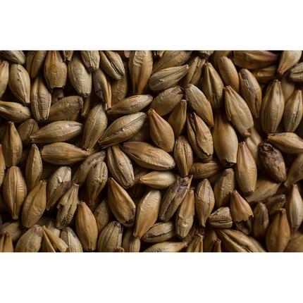 MALTA CARA GOLD CASTLE MALTING (CARAMEL 50°L)