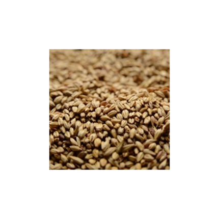 MALTA CARAMEL 20 BRIESS