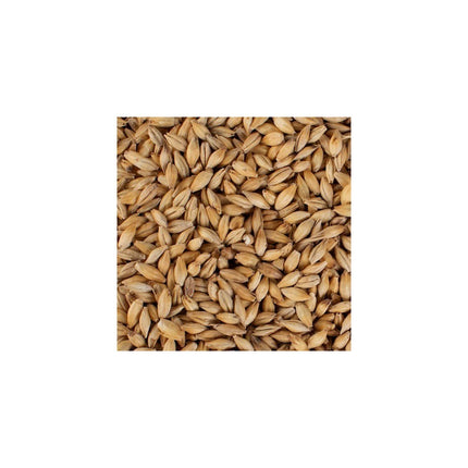 MALTA CARAPILS WEYERMANN