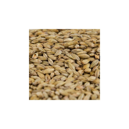 MALTA HONEY GAMBRINUS