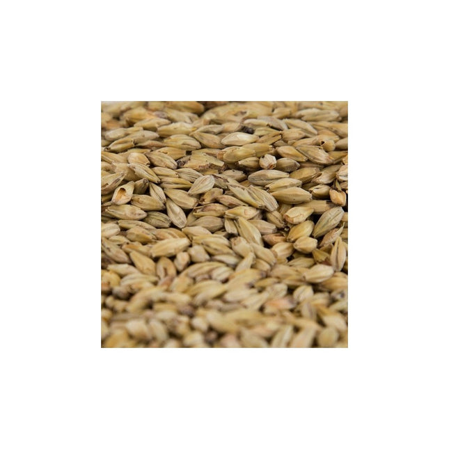 MALTA HONEY GAMBRINUS