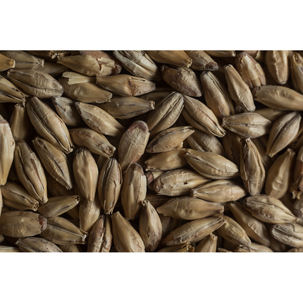 MALTA MUNICH CASTLE MALTING