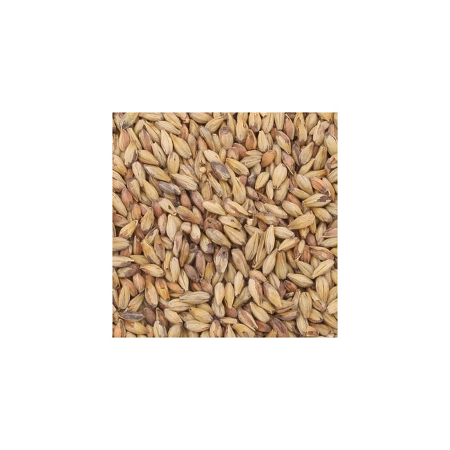 MALTA SPECIAL ROAST BRIESS