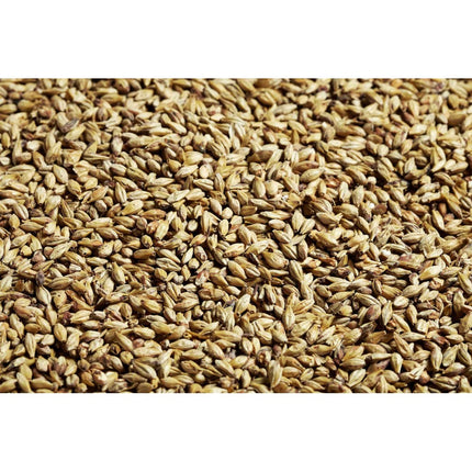 MALTA SW AMBER (Munich 20L) SWAEN
