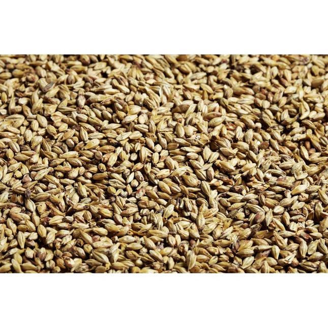 MALTA SW AMBER (Munich 20L) SWAEN