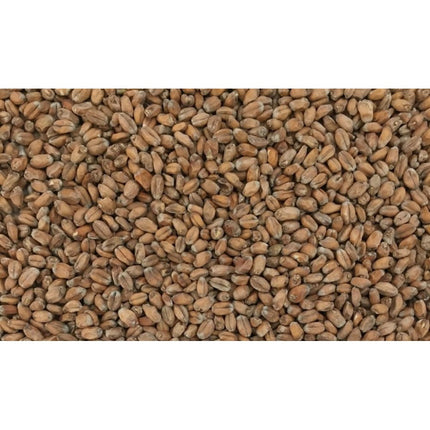 MALTA WHEAT MALTEUROP