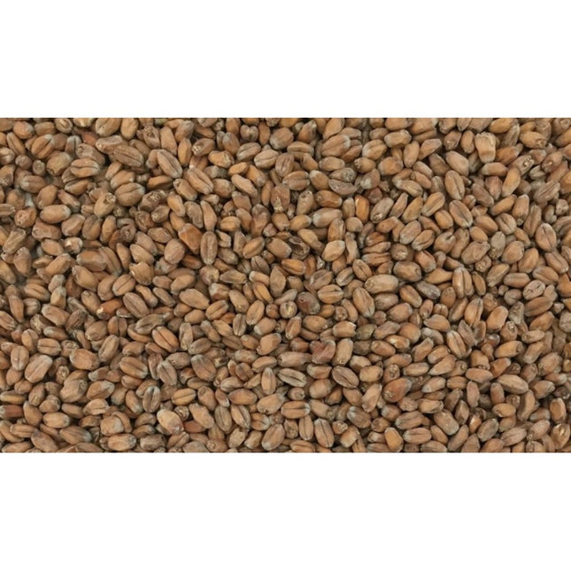 MALTA WHEAT MALTEUROP